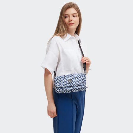 ARAS Curious Leopard