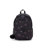 DELIA Night Flower