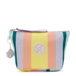 NAOMI POUCH Bold Stripe Bl